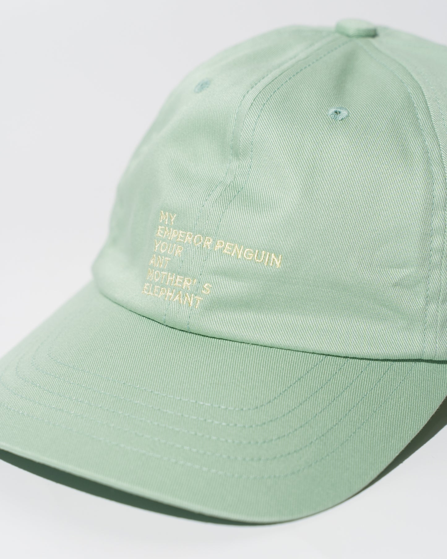 EMBROIDERY COTTON CAP MADE BY NINE TAILOR - GREEN