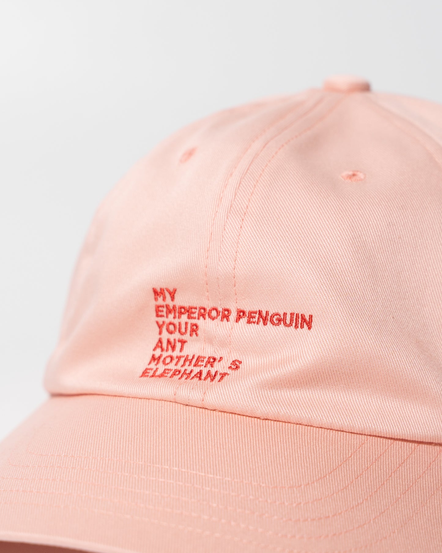 EMBROIDERY COTTON CAP MADE BY NINE TAILOR - PINK