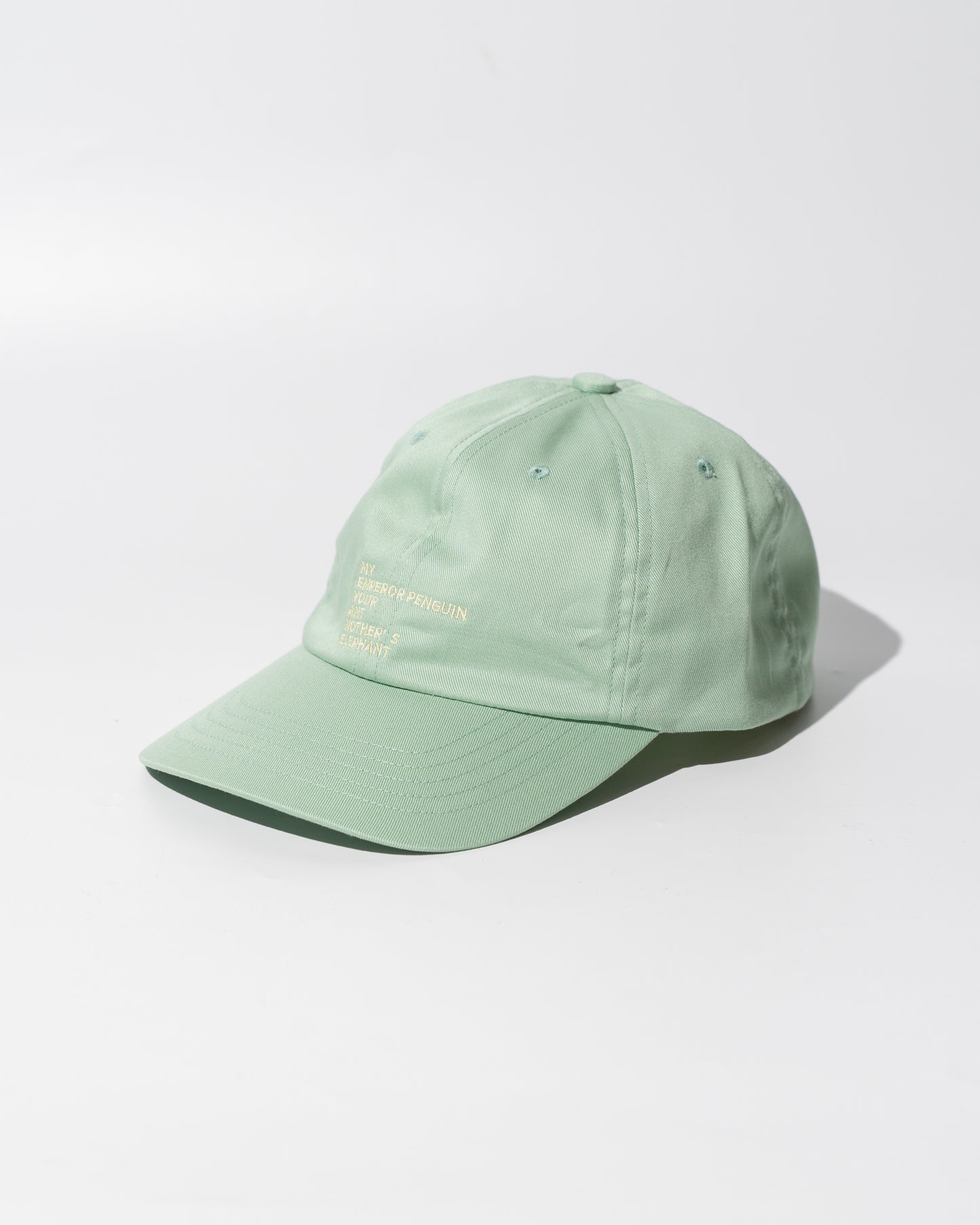 EMBROIDERY COTTON CAP MADE BY NINE TAILOR - GREEN