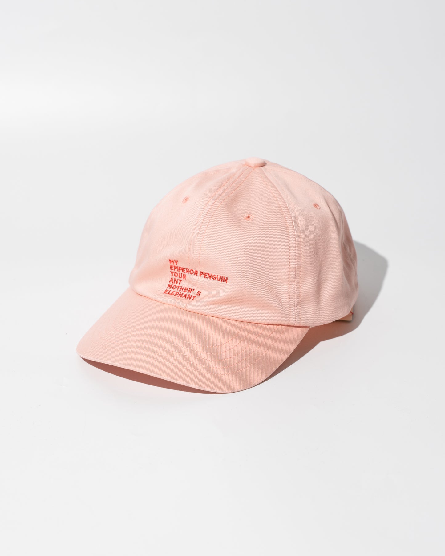 EMBROIDERY COTTON CAP MADE BY NINE TAILOR - PINK
